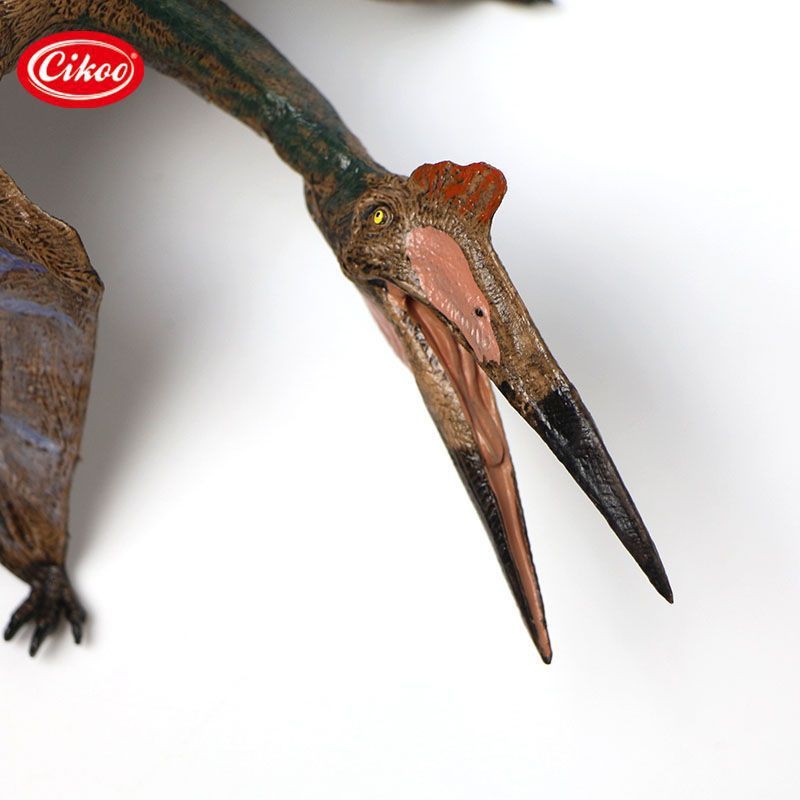 mô hình khủng long Dực Long Pterodactyl