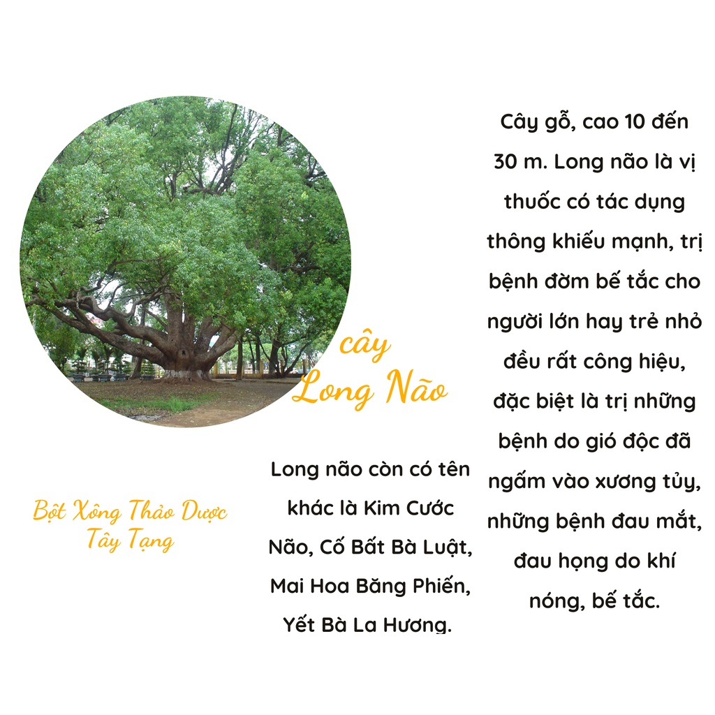 Bột xông nhà 🚛FREESHIP🚛 Tẩy Uế Chiêu Tài từ thảo mộc tự nhiên - cải thiện phong thủy nhà ở