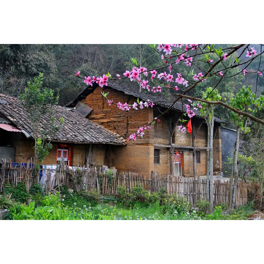 Tranh dán tường đồng quê Việt Nam 3D in theo kích thước yêu cầu – Không giới hạn kích thước