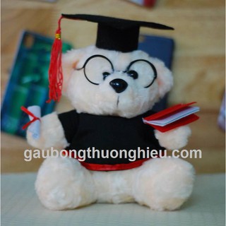 Gấu cử nhân tốt nghiệp