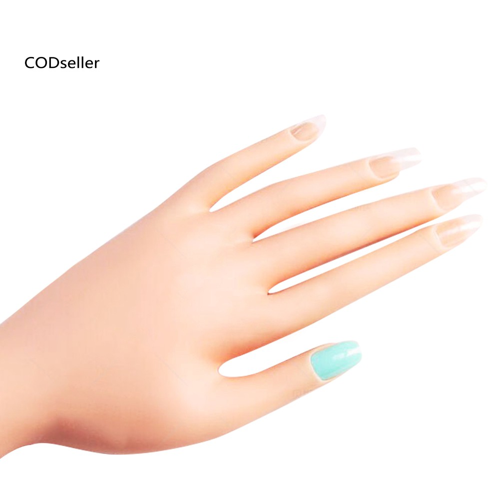 Bàn Tay Giả Dành Cho Tập Vẽ Móng