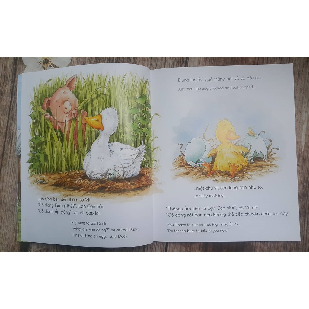 Sách - Quả Trứng Của Lợn Con – Pig’S Egg (Picuter Book Song Ngữ 3-8 tuổi)