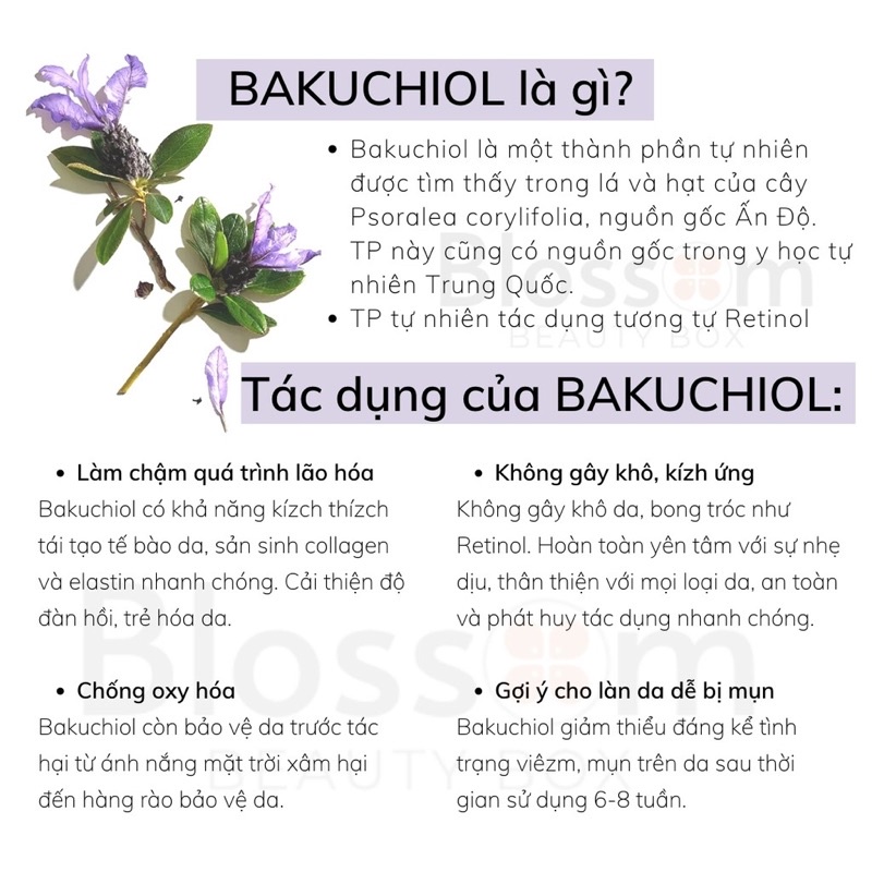 Tinh chất Retinol thực vật dành cho bà bầu Bakuchiol Herbivore Botanicals Smoothing Serum