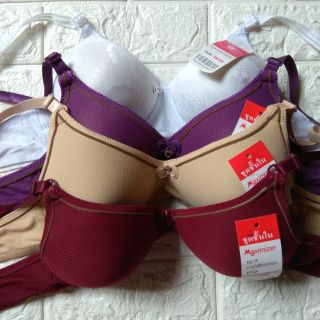Combo áo 3 áo lót cotton mút mỏng 0.5 cm không gọng
