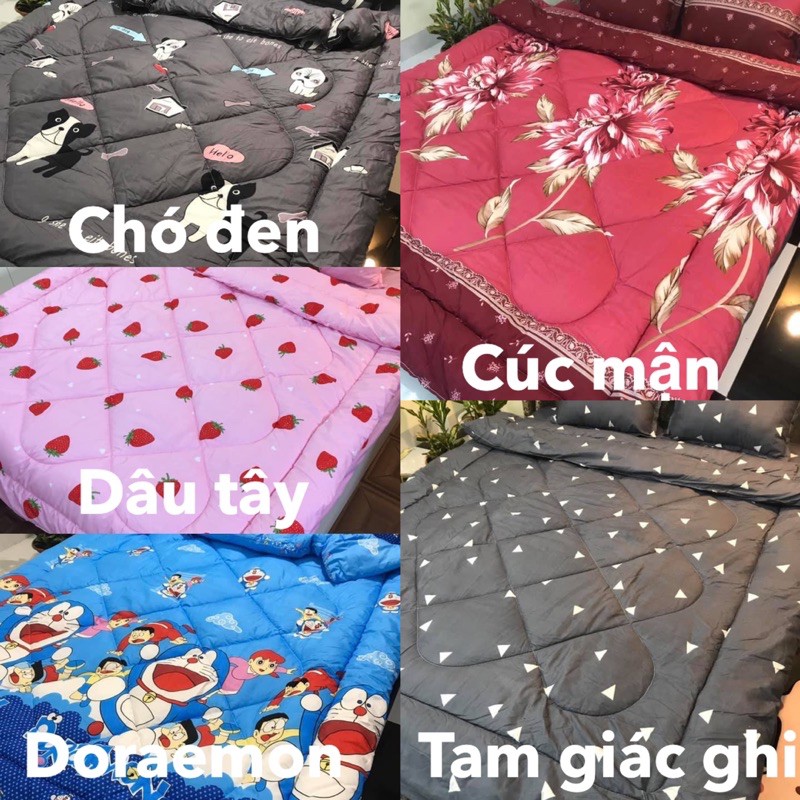 BỘ Chăn Phao 5 món chăn trần sẵn ruột cottonpoly cao cấp ( được chọn mẫu)