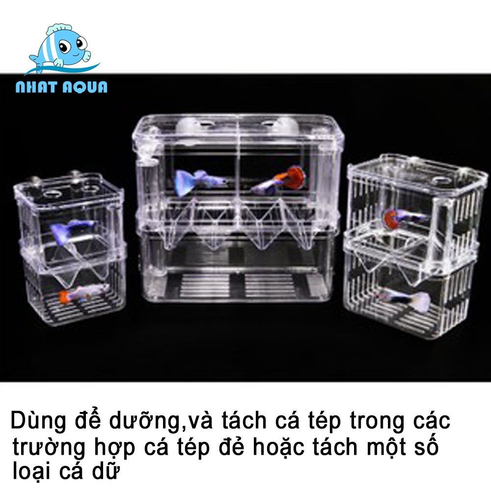 Lồng đẻ, dưỡng cá,tép MICA [Cá Cảnh]