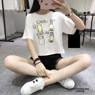 Áo crt 4 chú mèo vàng