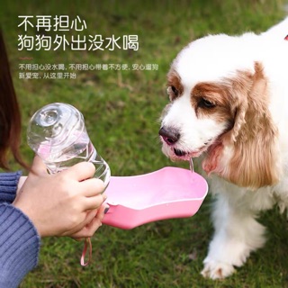 Chó ra nước uống chai nước cầm tay ngoài trời