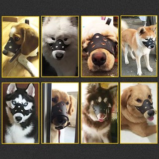 🐶🐶 RỌ MÕM NHỰA CHO CHÓ