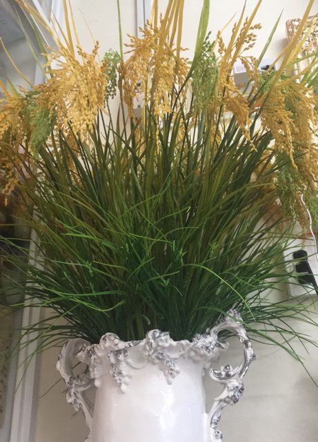 Combo 40 cây lúa vàng