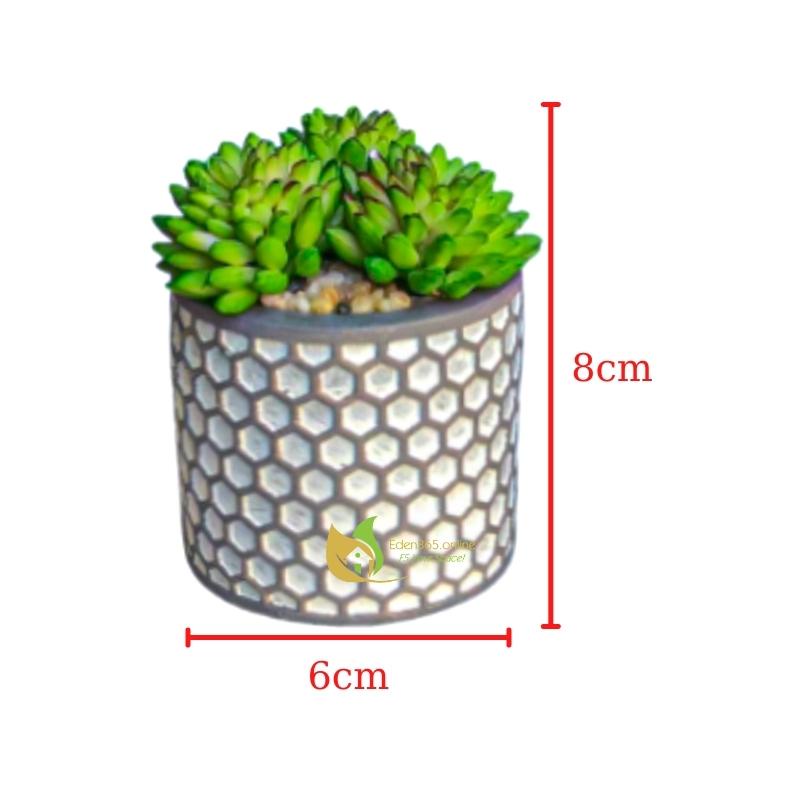 Bộ 4 chậu sen đá trang trí, chậu sen đá mini nhân tạo họa tiết tổ ong dễ thương, trang trí decor quá cafe, bàn làm việc