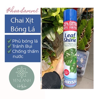 Chai Xịt Bóng Lá Chuyên Dùng Cho Cây Cảnh Leaf Shine 750ml Yenlanhnatural