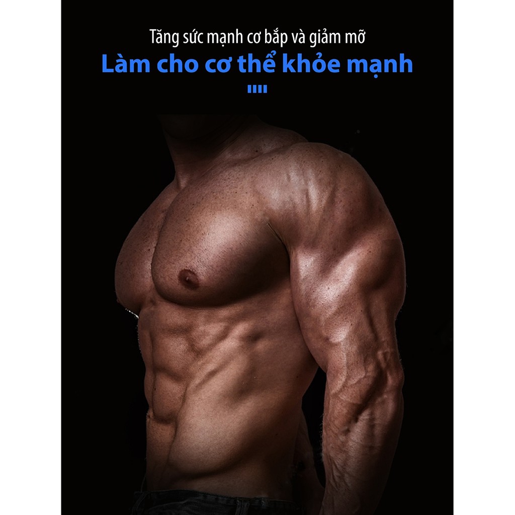 Professionall.gym19 - Ghế tập bụng cong giá rẻ bất ngờ mẫu160A 2023