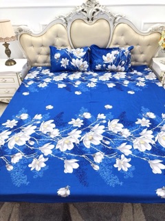 Bộ chăn phao ga gối poly