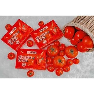 TAM TRANG CA CHUA TOMATO