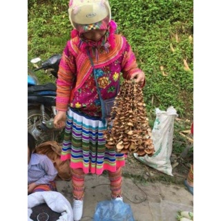 500 Nấm hương rừng xiên đây thơm ngon