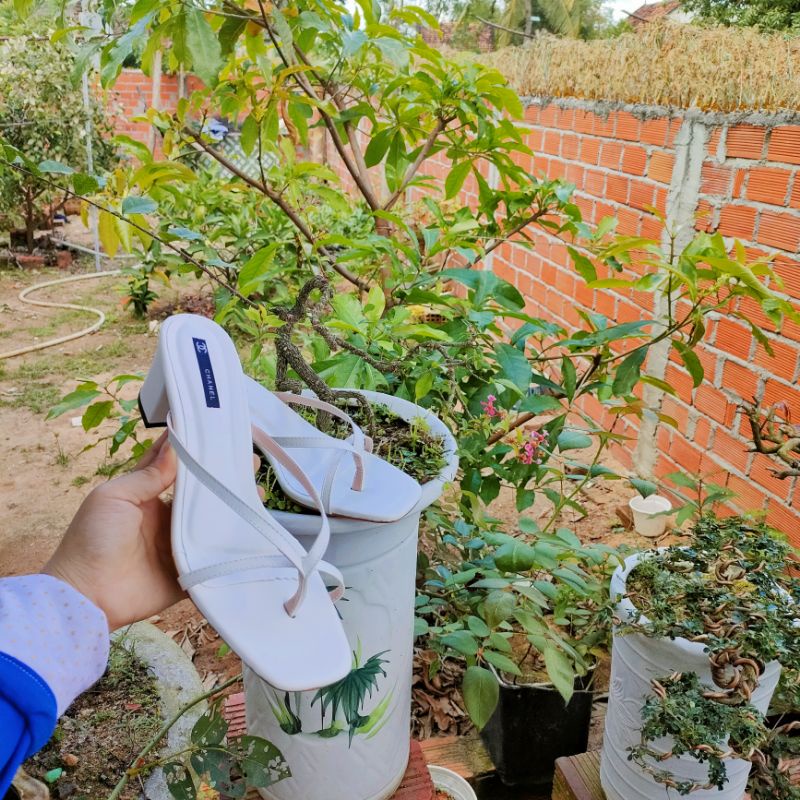 Dép bigsize xỏ ngón gót vuông size 35-45