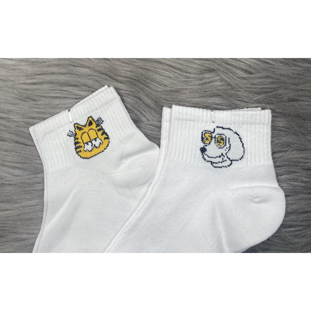 Combo 5 và 10 đôi tất vớ nữ hình ,  được chọn hình , vải thun Cotton ( mode Hàn Quốc ) ảnh thật ,bảo đảm giao giống ảnh