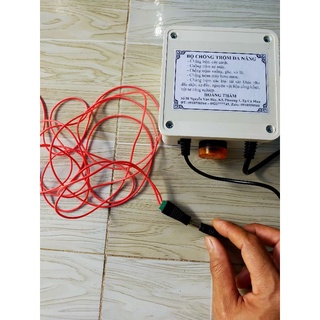 Chống trộm cây cảnh