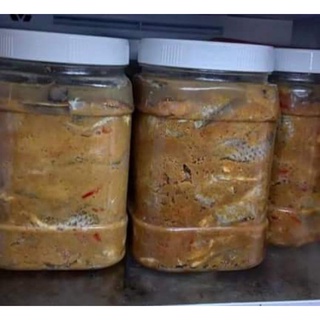 Mắm cá phi trộn tỏi ớt sẵn ăn liền hoặc kho ,ăn sống, nấu lẩu ...