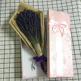 Combo sỉ hoa lavender thỏ ngọc