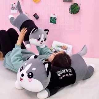 Gối ôm mèo con dễ thương