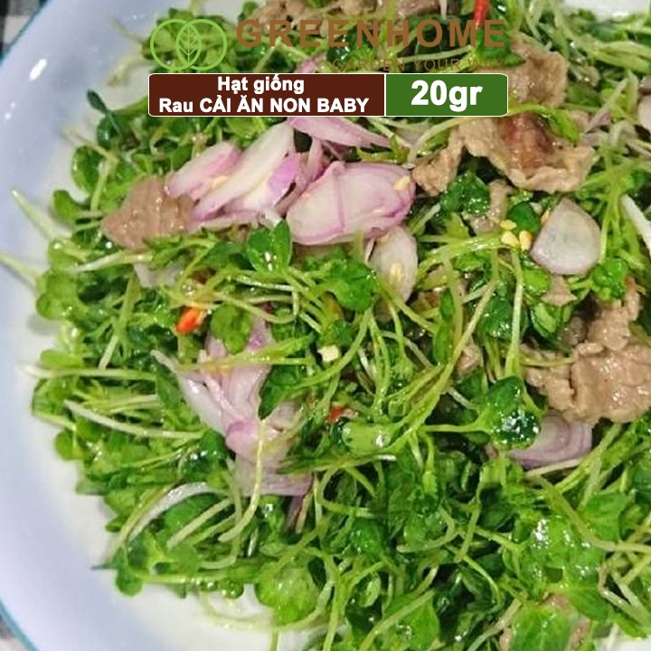 Hạt giống rau Cải ăn non Greenhome, gói 20g, dễ trồng, thu hoạch nhanh R05