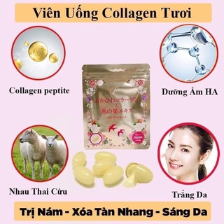 Collagen Tươi Nhật Bản [HangNhat]
