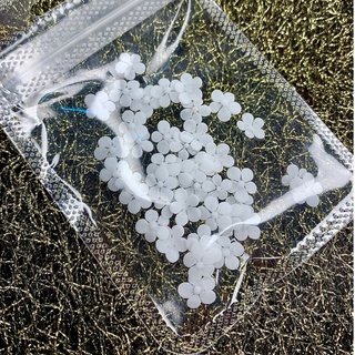 Hoa mai nhí gắn móng trang trí móng