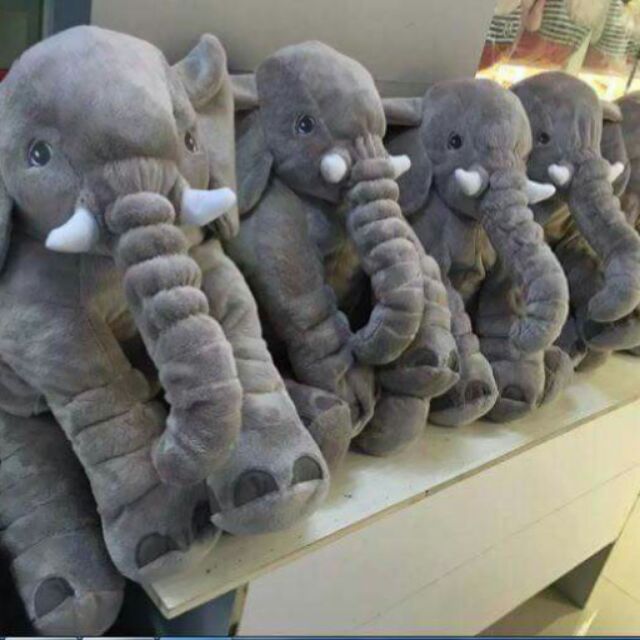 Voi con cho bé yêu
