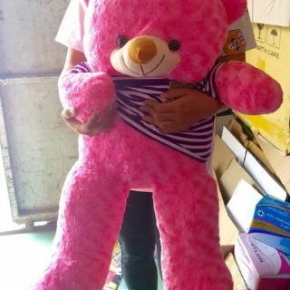 Gấu bông teddy