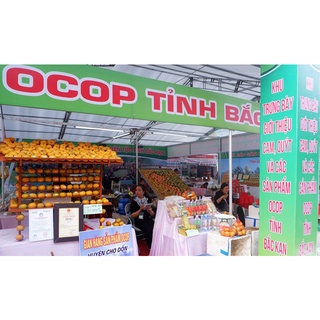 Quýt thơm Bắc Kạn