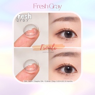 Kính áp tròng FRESH GRAY <Lens xám tự nhiên>