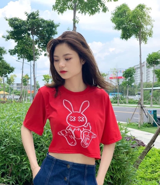 Áo Croptop Form Rộng Thỏ Ảnh Thật