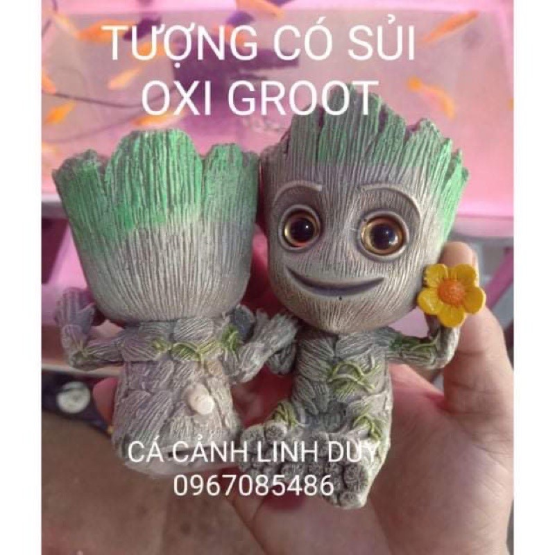 Tượng Groot làm cảnh kèm sủi ơi cho hồ cá