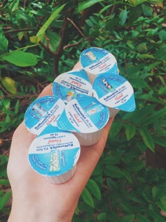 Combo 105hũ Sữa mini không đường