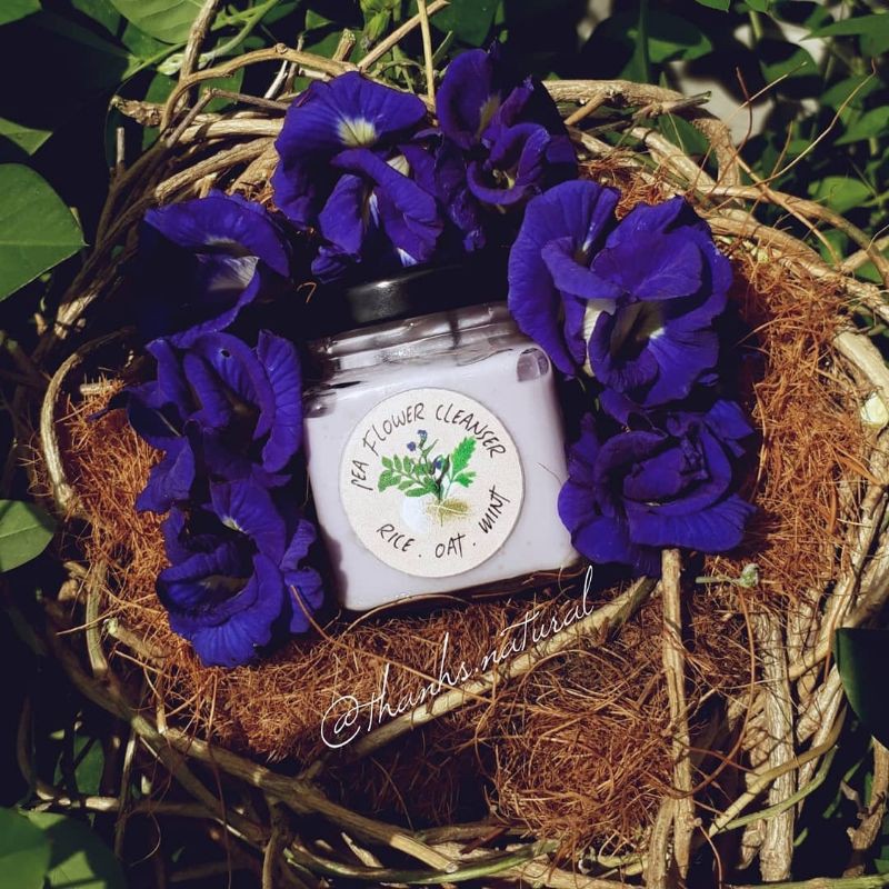 Mặt nạ làm sạch- pea flower cleanser