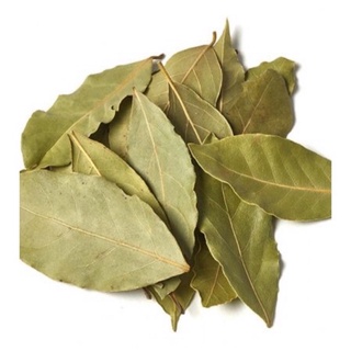 10g lá nguyệt quế khô