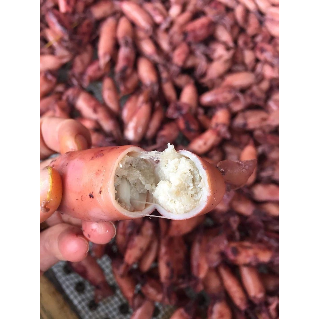 Mực sim trứng 1 nắng - Mực trứng 1 nắng - 500g