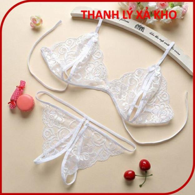BỘ ĐỒ LÓT REN LỌT KHE 2 MẢNH SEXY, BIKINI REN XUYÊN THẤU GỢI CẢM MÃ BI203 | BigBuy360 - bigbuy360.vn
