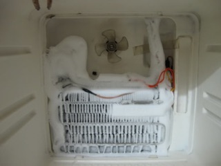 Bóng sấy tủ lạnh/Điện trở xả đá(sấy kép 12")