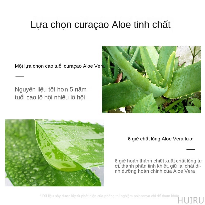 [Hàng mới về] Mặt nạ ngủ gel lô hội Bioaqua se khít lỗ chân lông làm sáng da 2ml | BigBuy360 - bigbuy360.vn