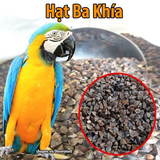 1kg Hạt Ba Khía Giàu Dinh Dưỡng Cho Hamster-Rat-Chim-Vẹt