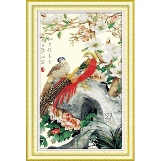 Tranh Thêu Chữ Thập Phượng Hoàng Khoe Sắc A732 (KHÁCH TỰ THÊU) KT:51X78CM