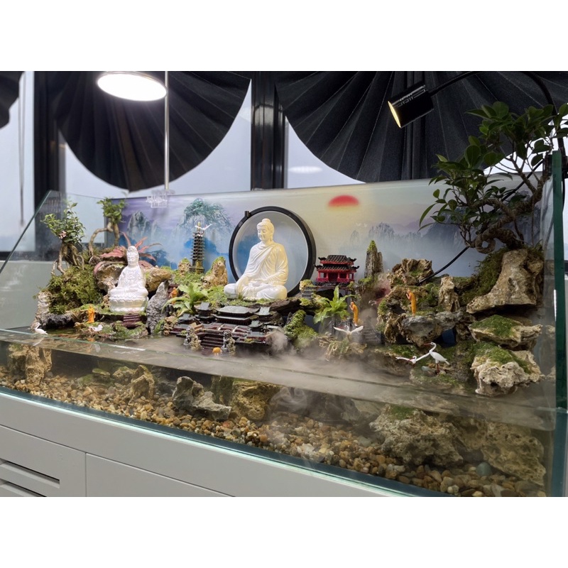 Hồ bán cạn tiểu cảnh CEO phong cách Kelsey Mặt Trời Vàng siêu độc đáo