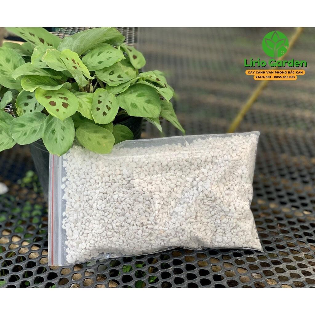 500g đá perlite , đá trân châu trồng cây