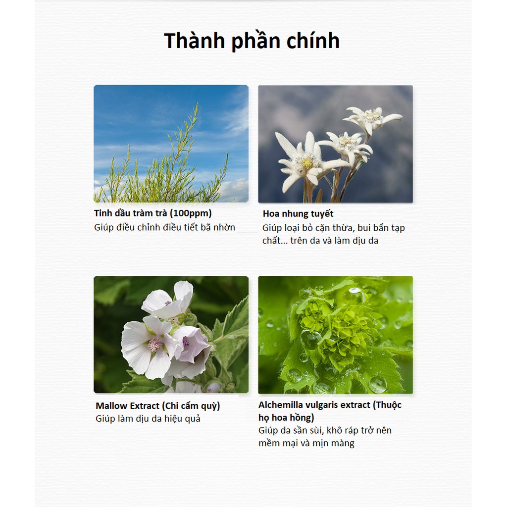 (500ml-The Saem) Nước tẩy trang Healing Tea Garden Cleansing Water 500ml | BigBuy360 - bigbuy360.vn