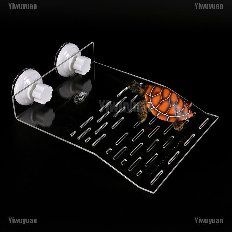 Bộ Khay Nhựa Đựng Thức Ăn Tiện Dụng