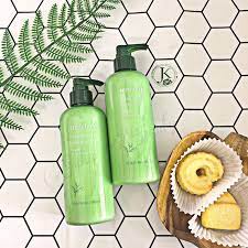 Sữa Dưỡng Thể Từ Trà Xanh Innisfree Green Tea Pure Body Lotion - 300ml