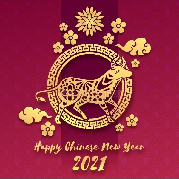 Luxury Cosmetic - High End